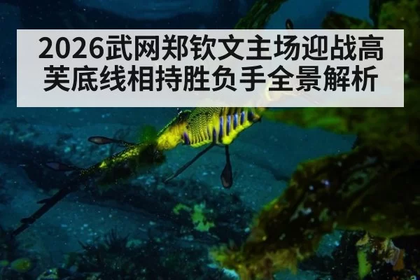 2026武网郑钦文主场迎战高芙底线相持胜负手全景解析